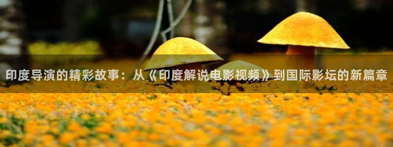 xi西瓜影院