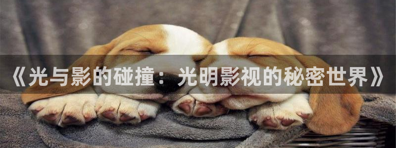 乔家的儿女在西瓜免费观看