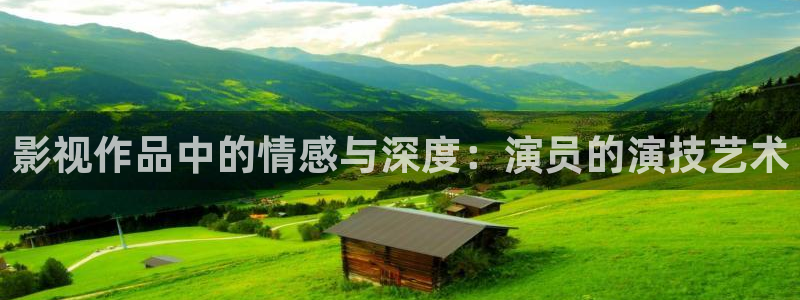 上海 西瓜