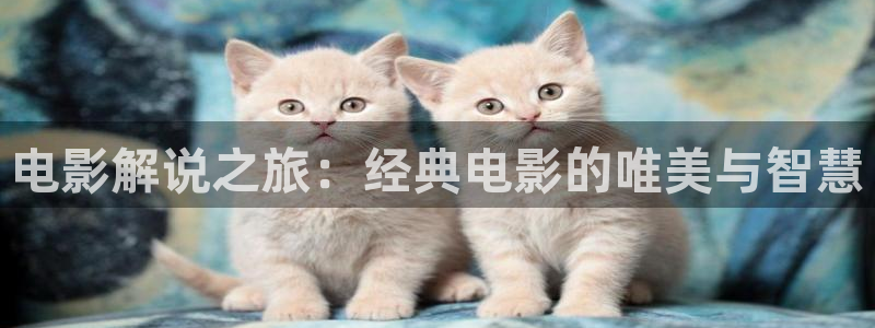 黄金瞳免费观看全集完整版西瓜