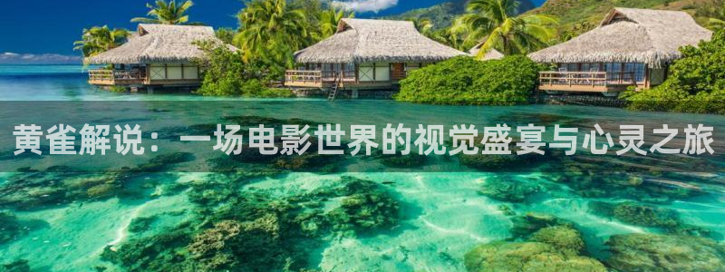 与君初相识免费观看完整版西瓜