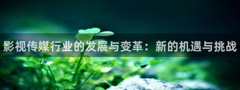 继承者们全集免费观看完整版西瓜