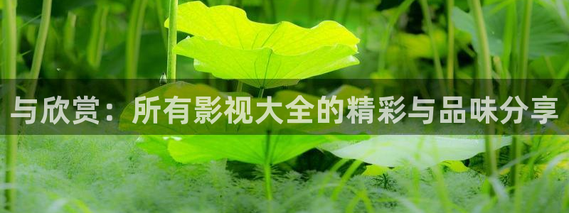 西瓜电影在线观看免费观看