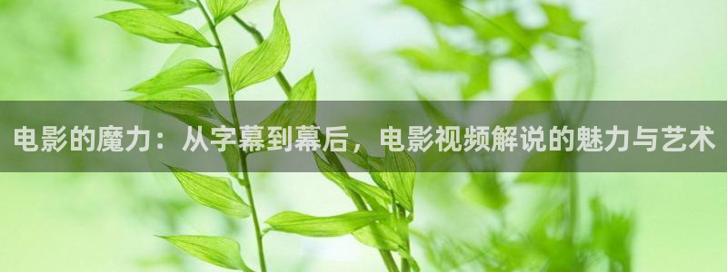 凹凸世界第二季免费观看西瓜