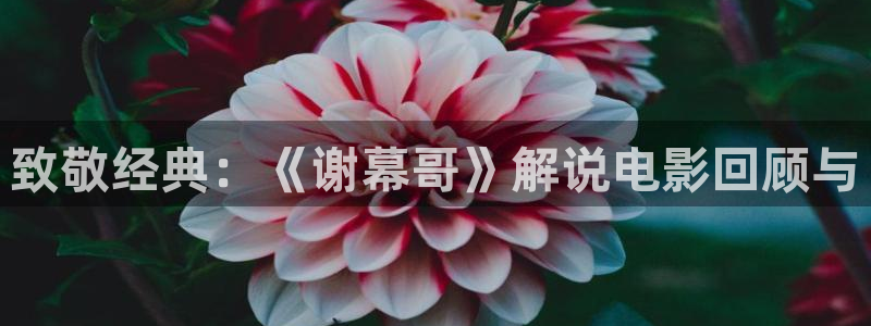 西瓜视频免费在线观看