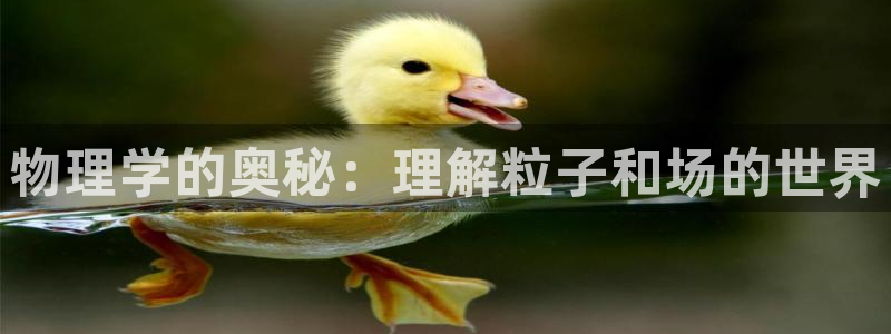 武汉 西瓜
