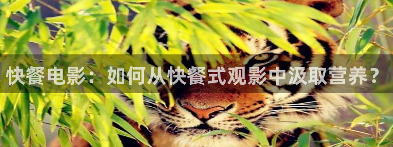 西瓜影院2016