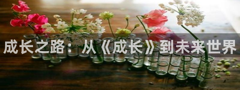 免费观看全集西瓜