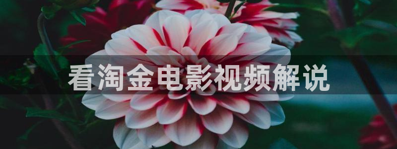 狂飙西瓜免费观看完整版