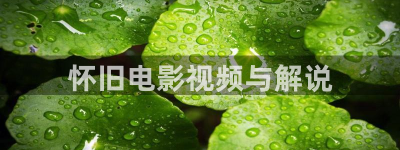 在线观看免费观看西瓜