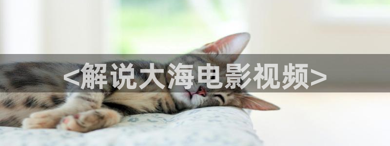 扬名立万在线播放免费西瓜