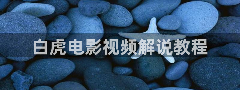 西瓜视电视剧