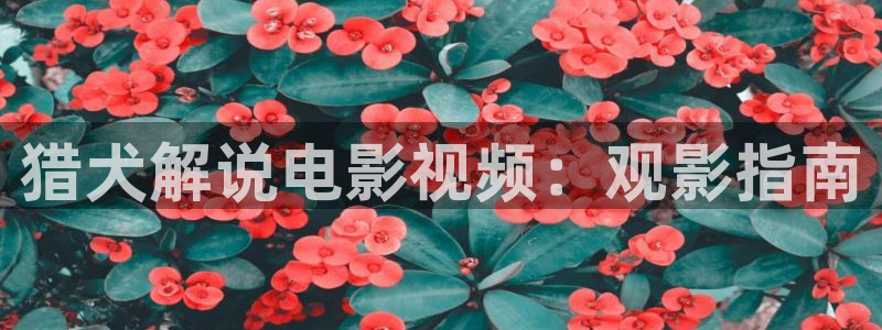 小妇人在线观看免费完整版西瓜