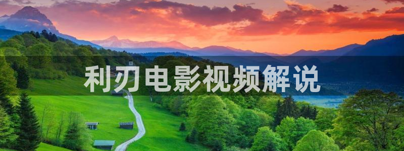 瞄准电视剧在线观看免费西瓜影院