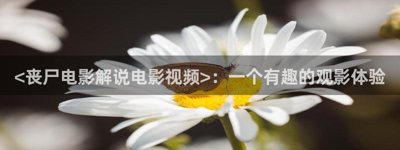 守护甜心免费观看西瓜