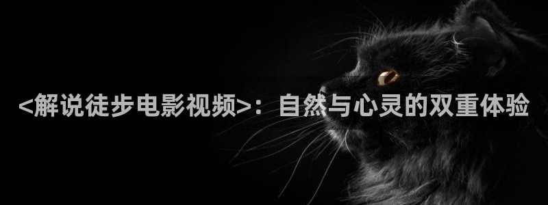 追球电视剧免费观看完整版西瓜