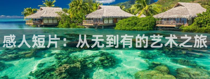 西瓜专用片