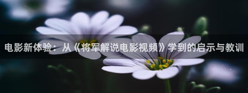 西瓜老师