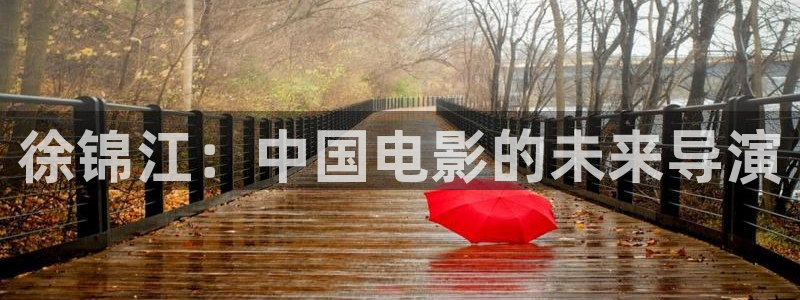 西瓜视频在线免费观看全部电视剧