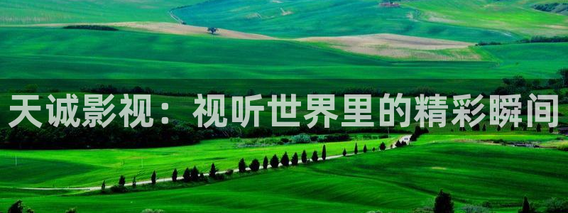 西瓜影院在线理论
