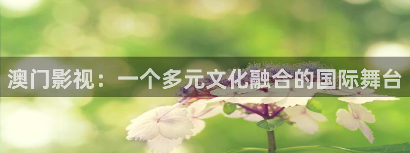 小丈夫西瓜在线电视剧