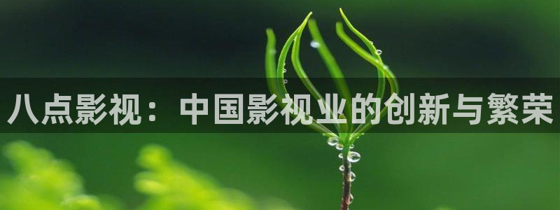 西瓜 在线