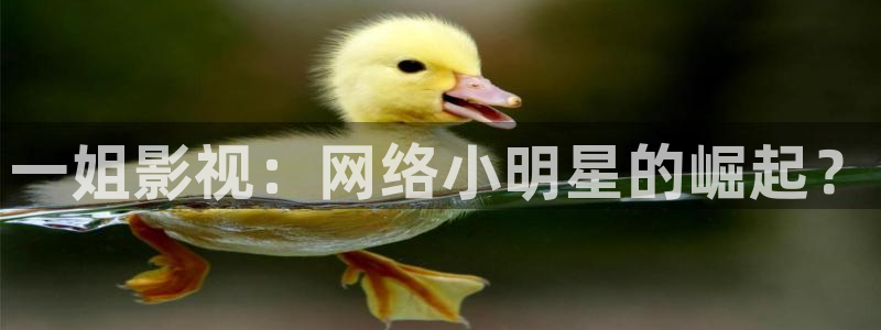 西瓜影院免费