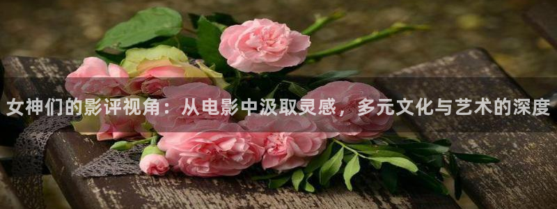 你好安怡免费观看全集西瓜影院