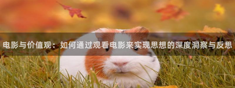 西瓜视频www,cn