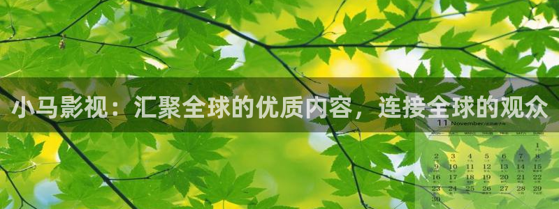 我的前半生免费观看西瓜影院