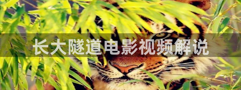 禁止的爱善良的未删减版西瓜影院