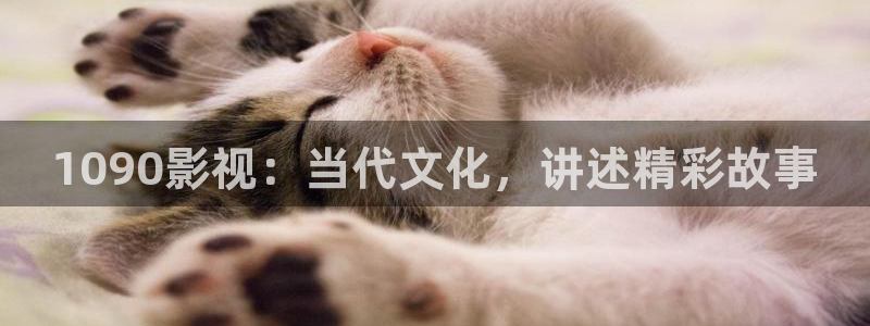 西瓜剧场免费观看