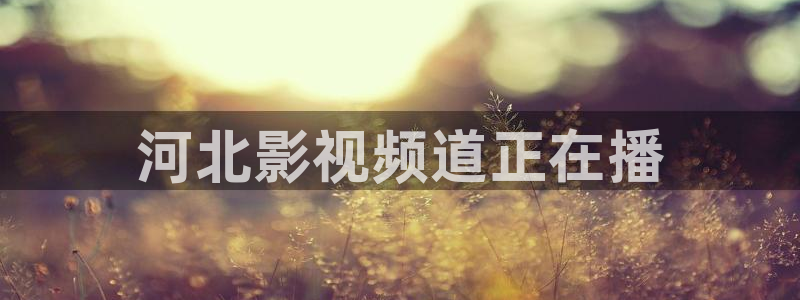 西瓜网在线观看