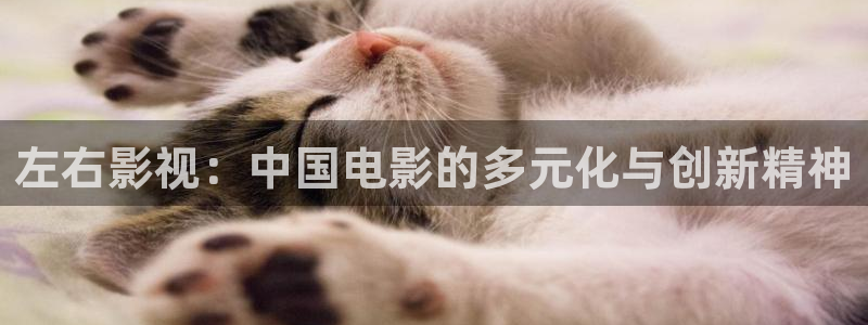 致我们单纯的小美好免费观看西瓜