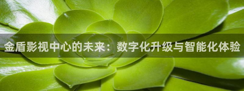 www西瓜视频