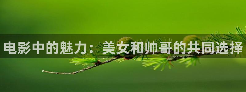 冰火魔厨免费观看完整版西瓜