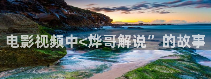 西瓜理论片免费观看