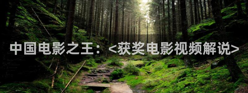 不想和你有遗憾免费观看全集西瓜