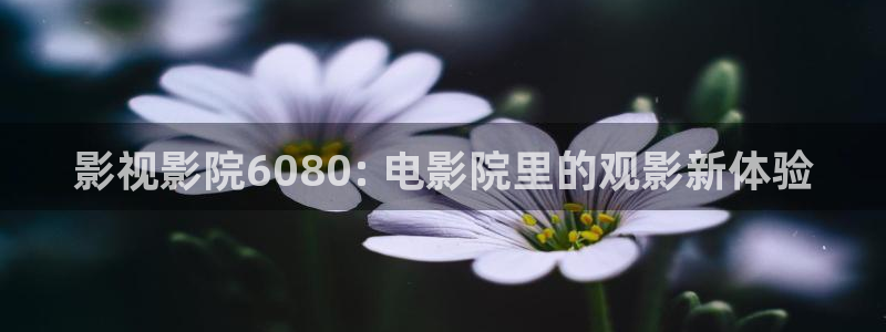 在线西瓜