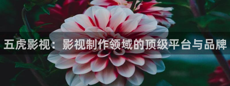 西瓜江苏