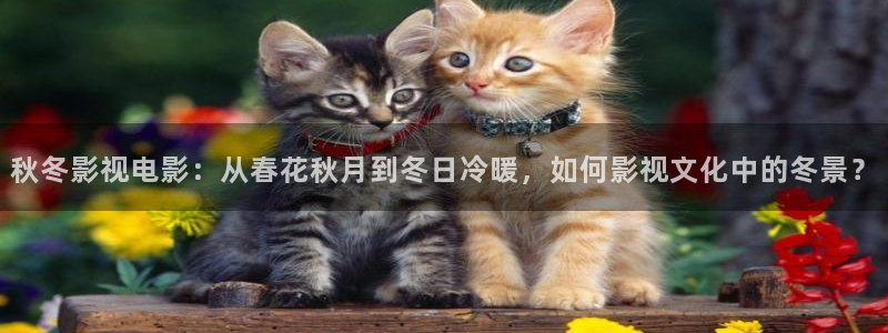 我在北京等你免费观看西瓜