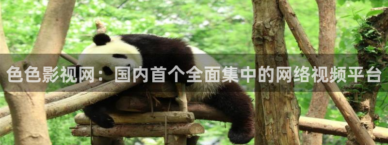 到西瓜视频